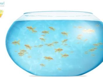 fishbowl鱼缸测试网址-fishbowl鱼缸测试网址入口